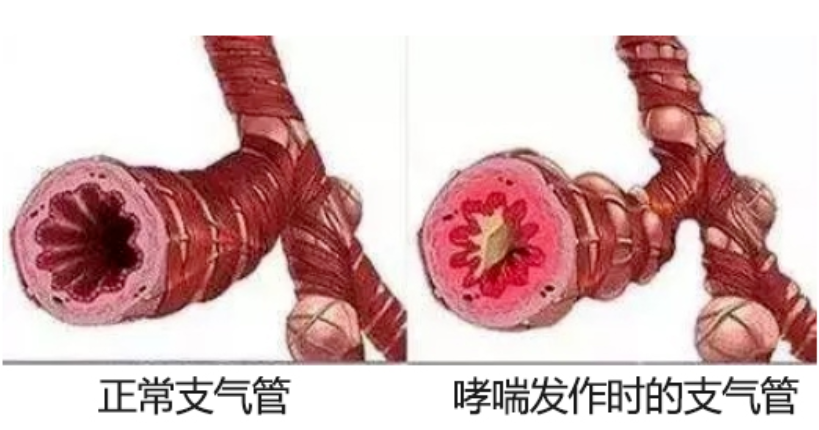 &#21326;&#20307;&#20250;&#20307;&#32946;&#45;&#21326;&#20307;&#20250;&#40;&#20013;&#22269;&#41;