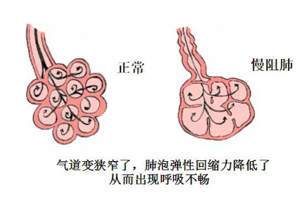 &#21326;&#20307;&#20250;&#20307;&#32946;&#45;&#21326;&#20307;&#20250;&#40;&#20013;&#22269;&#41;