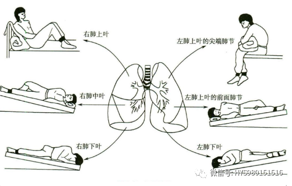 &#21326;&#20307;&#20250;&#20307;&#32946;&#45;&#21326;&#20307;&#20250;&#40;&#20013;&#22269;&#41;