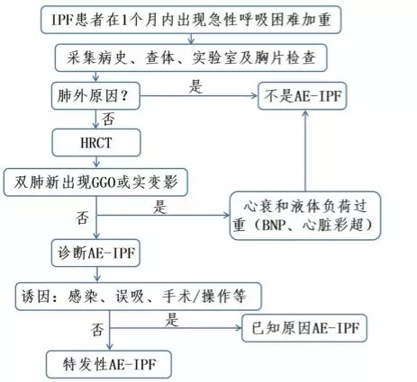 &#21326;&#20307;&#20250;&#20307;&#32946;&#45;&#21326;&#20307;&#20250;&#40;&#20013;&#22269;&#41;