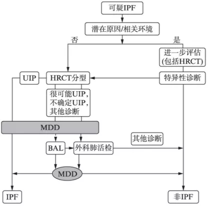 &#21326;&#20307;&#20250;&#20307;&#32946;&#45;&#21326;&#20307;&#20250;&#40;&#20013;&#22269;&#41;
