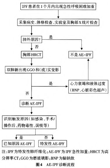 &#21326;&#20307;&#20250;&#20307;&#32946;&#45;&#21326;&#20307;&#20250;&#40;&#20013;&#22269;&#41;