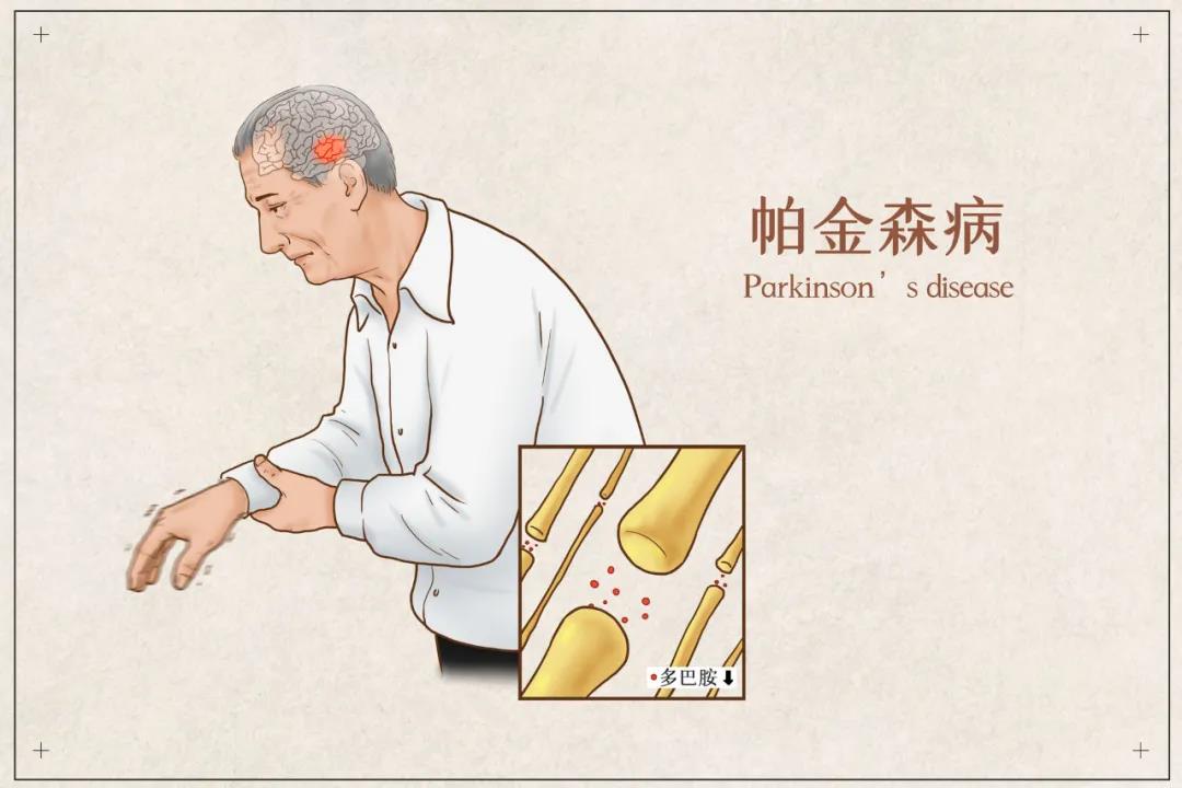 &#21326;&#20307;&#20250;&#20307;&#32946;&#45;&#21326;&#20307;&#20250;&#40;&#20013;&#22269;&#41;