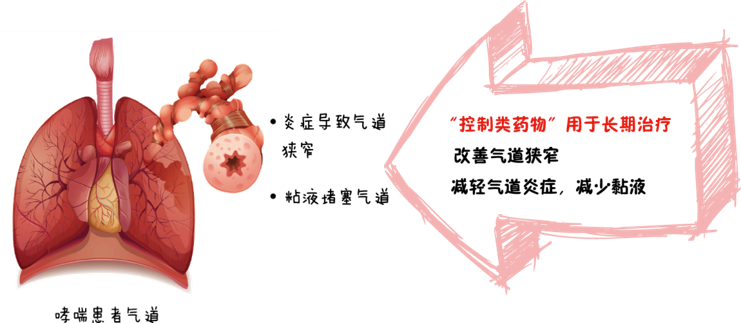 &#21326;&#20307;&#20250;&#20307;&#32946;&#45;&#21326;&#20307;&#20250;&#40;&#20013;&#22269;&#41;