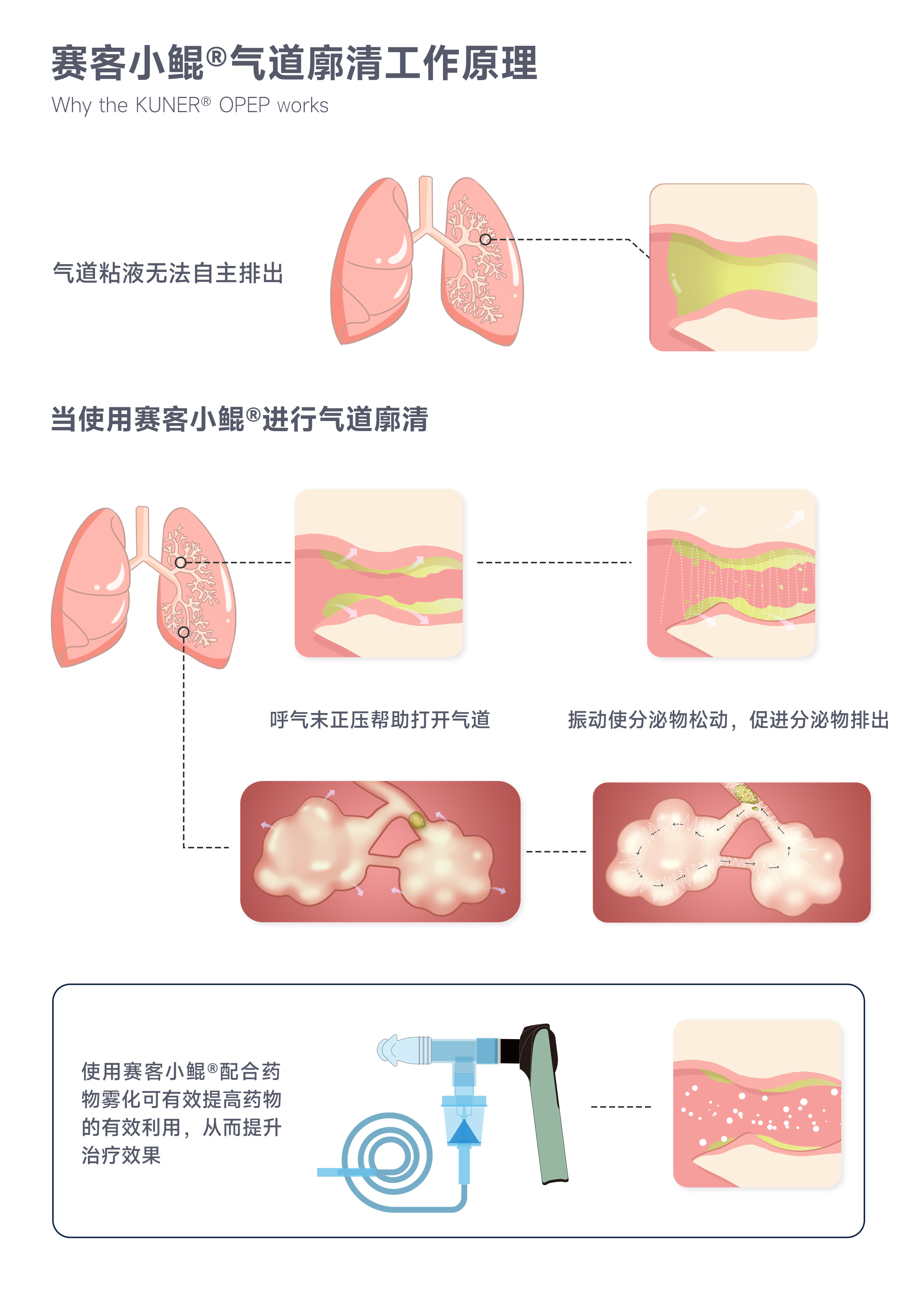 &#21326;&#20307;&#20250;&#20307;&#32946;&#45;&#21326;&#20307;&#20250;&#40;&#20013;&#22269;&#41;