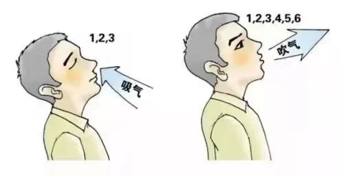&#21326;&#20307;&#20250;&#20307;&#32946;&#45;&#21326;&#20307;&#20250;&#40;&#20013;&#22269;&#41;