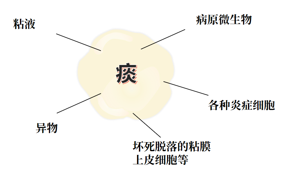 &#21326;&#20307;&#20250;&#20307;&#32946;&#45;&#21326;&#20307;&#20250;&#40;&#20013;&#22269;&#41;