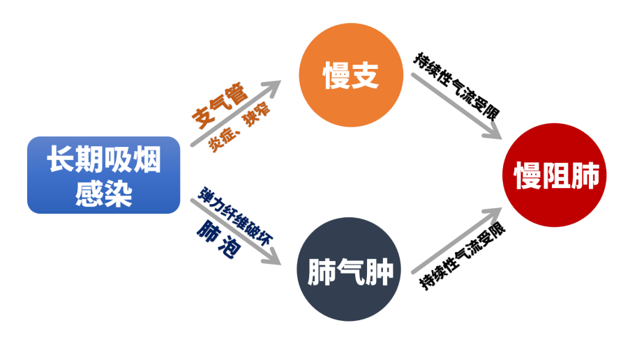 &#21326;&#20307;&#20250;&#20307;&#32946;&#45;&#21326;&#20307;&#20250;&#40;&#20013;&#22269;&#41;